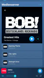 Bosman – SoundTouch Remote screenshot 4
