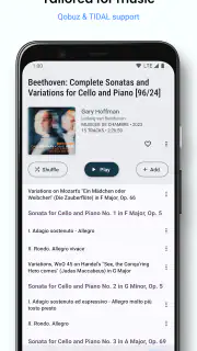 BubbleUPnP UPnP/DLNA Lizenz screenshot 6