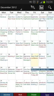 Business Kalender Pro screenshot 3