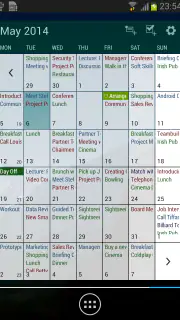 Business Kalender Pro screenshot 8