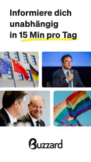 Buzzard – Politik für Schule screenshot 1