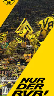 BVB screenshot 1