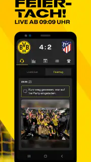 BVB screenshot 3
