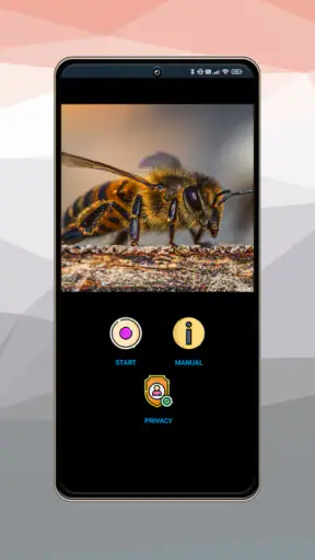 Camera endoscope / OTG USB screenshot