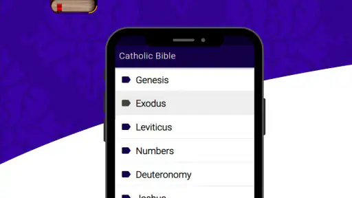 Catholic Bible Douay Rheims screenshot 1