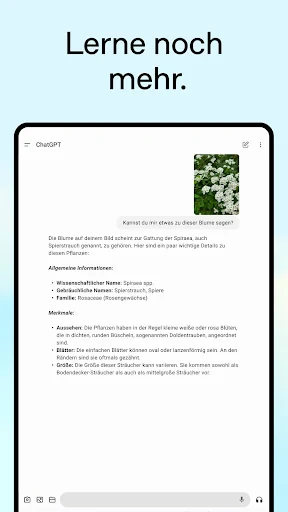 ChatGPT screenshot