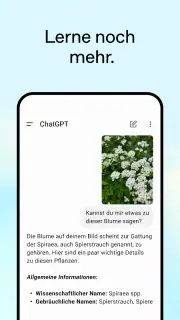 ChatGPT screenshot 4