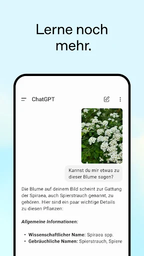 ChatGPT screenshot