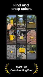 Color Hunter screenshot 1
