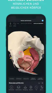 Complete Anatomy screenshot 4