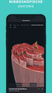 Complete Anatomy screenshot 7