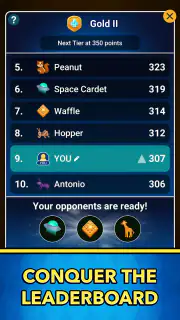 Crazy Eights screenshot 4