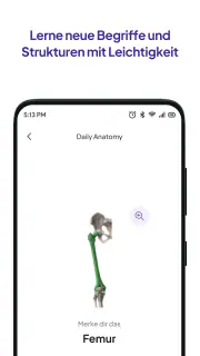 Daily Anatomy Lernkarten screenshot 3
