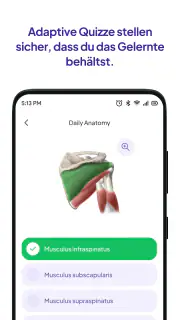 Daily Anatomy Lernkarten screenshot 4