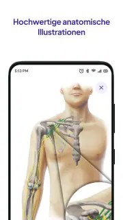 Daily Anatomy Lernkarten screenshot 5