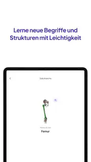 Daily Anatomy Lernkarten screenshot 8