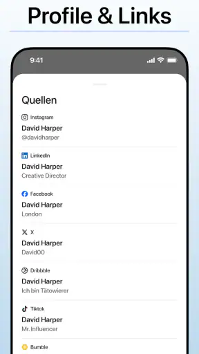 Deepsearch AI Search Assistant screenshot