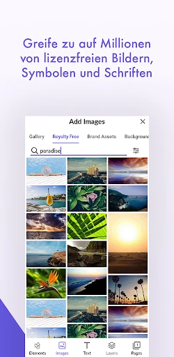 Desygner: Grafik-Design Editor screenshot