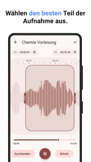Diktiergerät screenshot 3