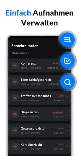 Diktiergerät & Sprachmemos screenshot