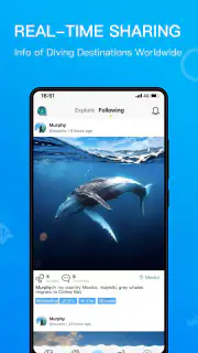 Dive+ : Tauchgemeinschaft screenshot 4