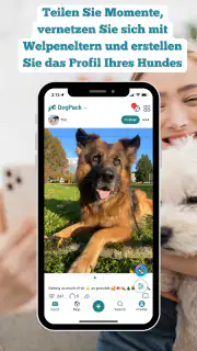 DogPack: Hundefreundliche Orte screenshot 6
