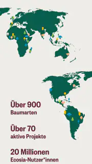 Ecosia - Internet Webbrowser screenshot 4