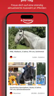 ehorses screenshot 2