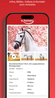 ehorses screenshot 4
