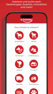 ehorses screenshot 6