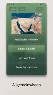 Endlos-Quiz Pro screenshot 2