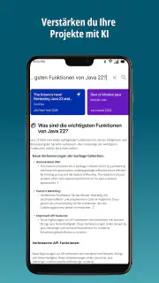 entwickler.de screenshot 3