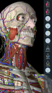 Essential Anatomy 5 screenshot 1
