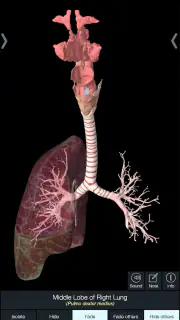 Essential Anatomy 5 screenshot 6