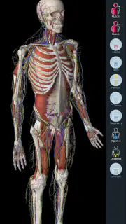 Essential Anatomy 5 screenshot 7