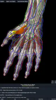 Essential Anatomy 5 screenshot 8