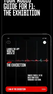F1® Exhibition: Companion screenshot 5