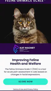 Feline Grimace Scale screenshot 1