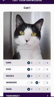 Feline Grimace Scale screenshot 3