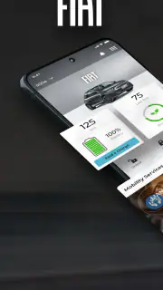 FIAT screenshot 1