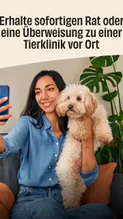 FirstVet screenshot 7