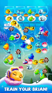 Fish Sort Puzzle: Match Game screenshot 4