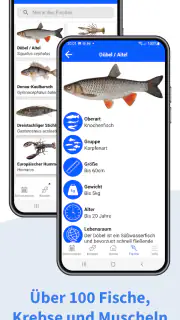 Angel App - Fishing Plus screenshot 3