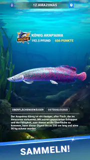 Fishing Travel screenshot 5
