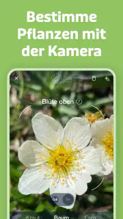 Flora Incognita screenshot 2