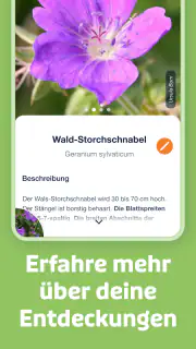 Flora Incognita screenshot 3