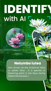 Florify: AI Plant Identifier screenshot 1