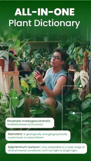 Florify: AI Plant Identifier screenshot 7