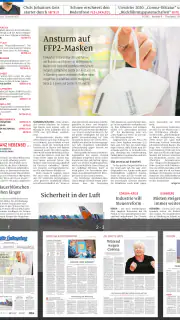 FLZ E-PAPER screenshot 8