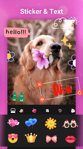 Foto-Videomacher mit Musik screenshot
